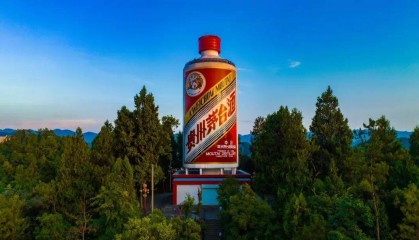 市场一线热议茅台酒：价格坚挺，市场需求仍在