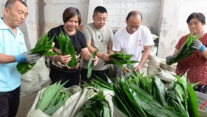 荣昌：集体林分区分级经营实现生态经济双赢