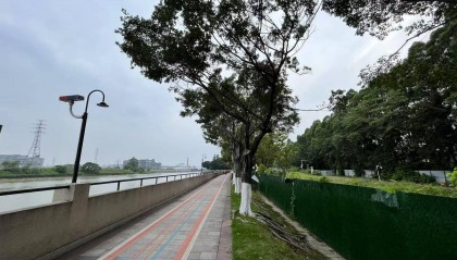 东莞一地多处被围蔽却无人施工，市民质疑工程烂尾，最新回应