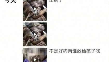 沈阳一店铺老板假借领养名义烹食流浪狗，警方：正在研讨处置