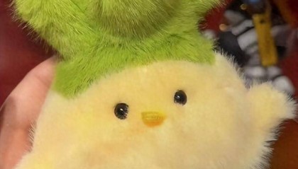 “武汉和平鸟”玩偶“蒜鸟”走红，一天能卖1000多个