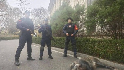 已确认！当场击毙