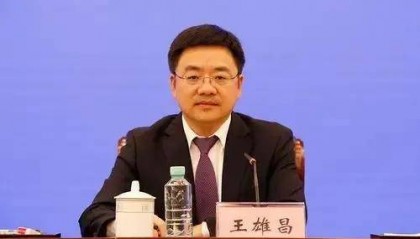 王雄昌，与蓝天立同时被罢免