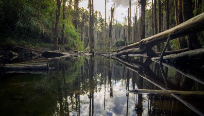 为何海尔冰箱无法制冷？探究原因与有效修复技巧