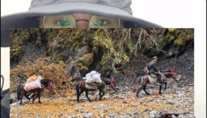 女驴友称徒步时遭65岁马夫猥亵，涉事马夫儿子回应