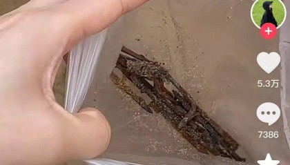 女子在沙滩玩20分钟捡了小半兜生锈铁钉