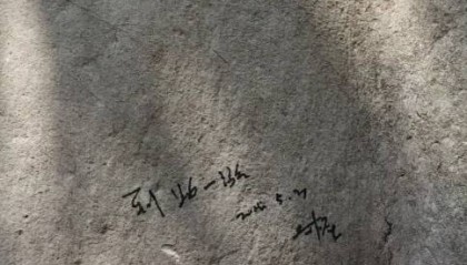 南京明孝陵石兽遭涂鸦“到此一游”，景区：已恢复原貌，警方在排查