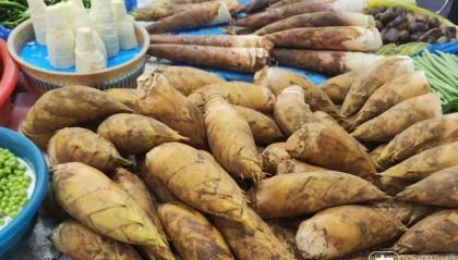 价格大跳水！50元/斤跌到1字头！浙江人超爱吃……