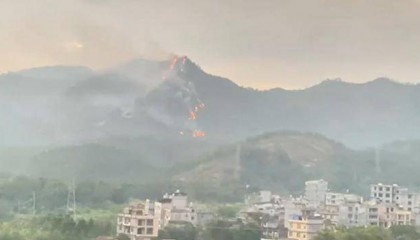 广西博白突发山火，数公里外县城能看到明火，应急：已扑灭，无人员伤亡和重大财产损失