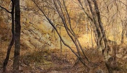 驴友景区登山遇见尸骨，山西霍州警方：为简易墓葬，排除刑事案件