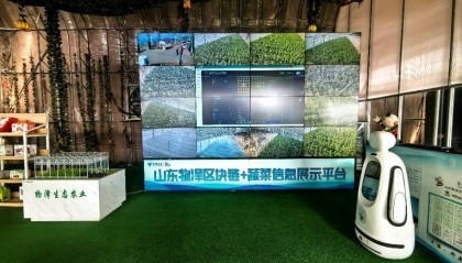 区块链溯源、大模型防虫，中国电信山东公司数智赋能寿光蔬菜产业发展
