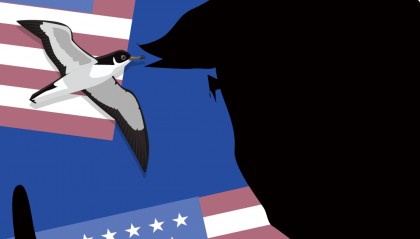 你好，特朗普2.0时代