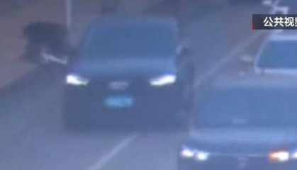 骑自行车碰瓷！北京一六旬男子骗取25人共4.6万余元，法院判了