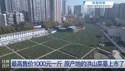 武汉人爱吃！最高1000元一斤，供不应求
