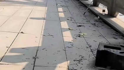 江苏钓友发现铁路桥下路面沉降 铁路部门：已查看，对铁路桥无影响