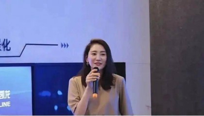 家具龙头红星美凯龙前美女高管虚增服务费套现500万被抓，总经理车建新如今也被拘留