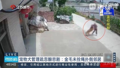 八旬老人被金毛扑倒致死，邻居不愿赔10万，法院：赔40万！