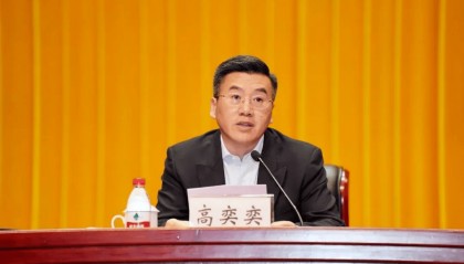 上海市委全会追认：开除高奕奕党籍