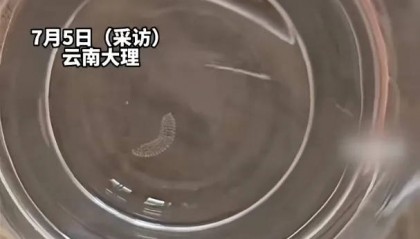 女子喝了隔夜水里的蚊子卵！专家：没事