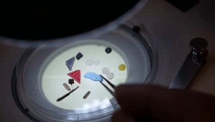 科学家在人类的精液和卵泡液中发现微塑料