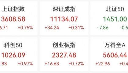 重回3600点！牛市“旗手”，涨停！