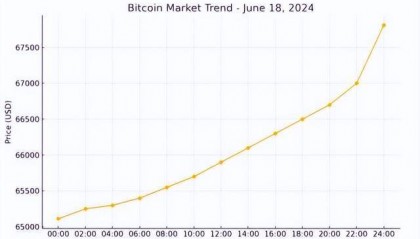 比特币市场动荡：BOSS Wallet加密数字货币用户如何应对