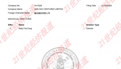 娃哈哈争产案第二被告曝光