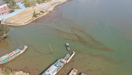 海边密集出现“爆爆珠”？广州、深圳等多地发布提醒