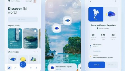 区块链APP上线流程