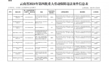 云南省人力资源和社会保障厅关于公布2024年第四批重大劳动保障违法案件的公告