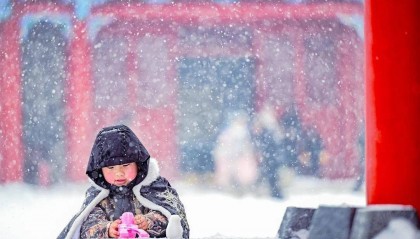沈阳明晚雪就到！阵风10级！紧急提醒！