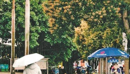 厦门这波降温咋这么猛？好消息：明起逐渐回暖……