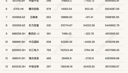 公募基金2024年四季度重仓股全扫描：宁德时代跃居第一大重仓股，寒武纪-U、中芯国际等半导体行业个股被减持