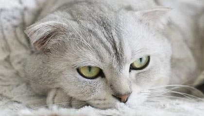 央行:统筹规划和推动金融科技高质量发展