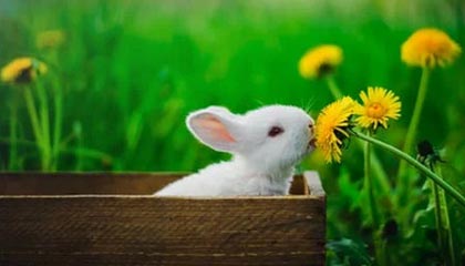 数据要素周报| 全国首个数据要素路演中心揭牌;全球顶级区块链与数据要素产业园在杭...