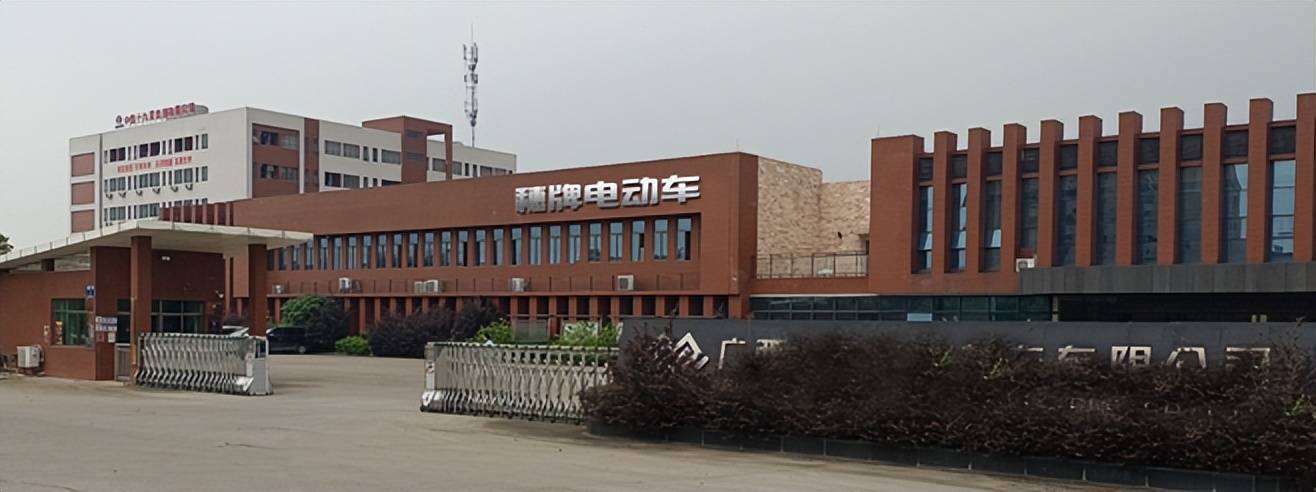 穗牌电动车花重金130万购得品牌域名suipai.cn