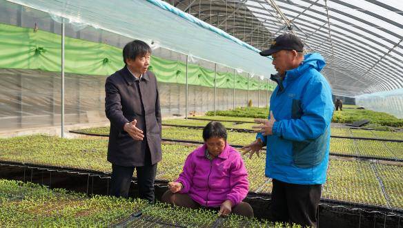 降低新农合缴费标准，提高农民养老金标准，人大代表卢庆国聚焦农村民生改善｜两会声音
