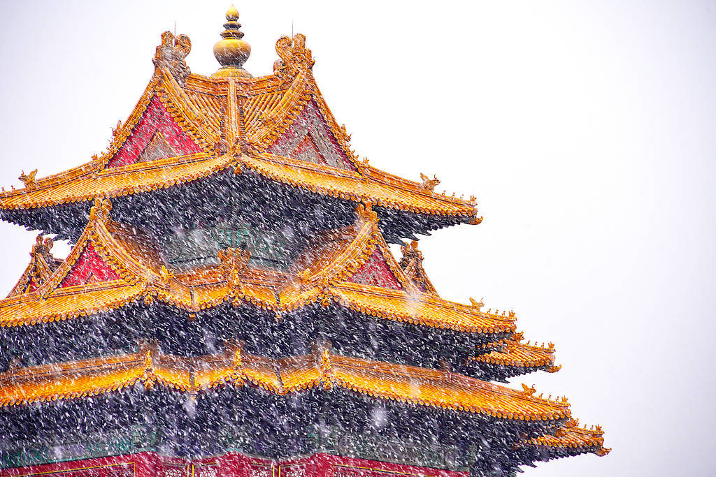趣看｜三月倒吹“桃花雪”，春风北上紫禁城