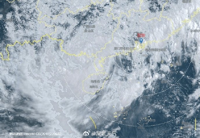暴雨黄色预警生效！“韦帕”造成深圳800多辆车受损，未来两天还有暴雨