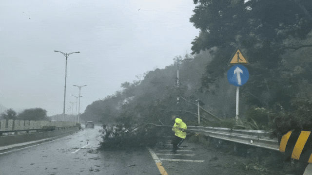 暴雨黄色预警生效！“韦帕”造成深圳800多辆车受损，未来两天还有暴雨