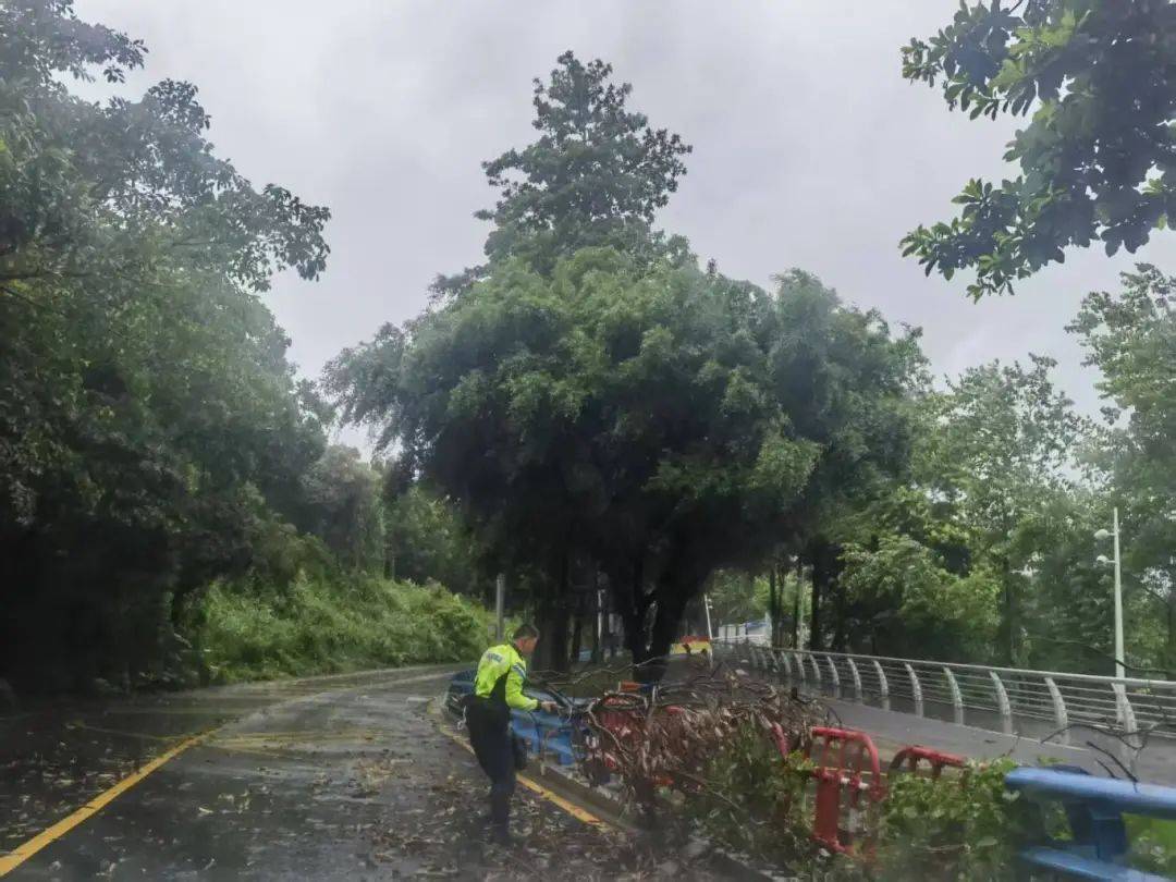 暴雨黄色预警生效！“韦帕”造成深圳800多辆车受损，未来两天还有暴雨