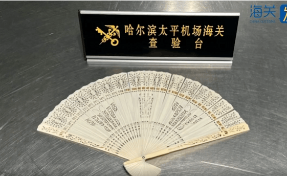 一旅客因一把“漂亮折扇”在哈尔滨机场被查！经鉴定：非洲象象牙制品，净重61.7克
