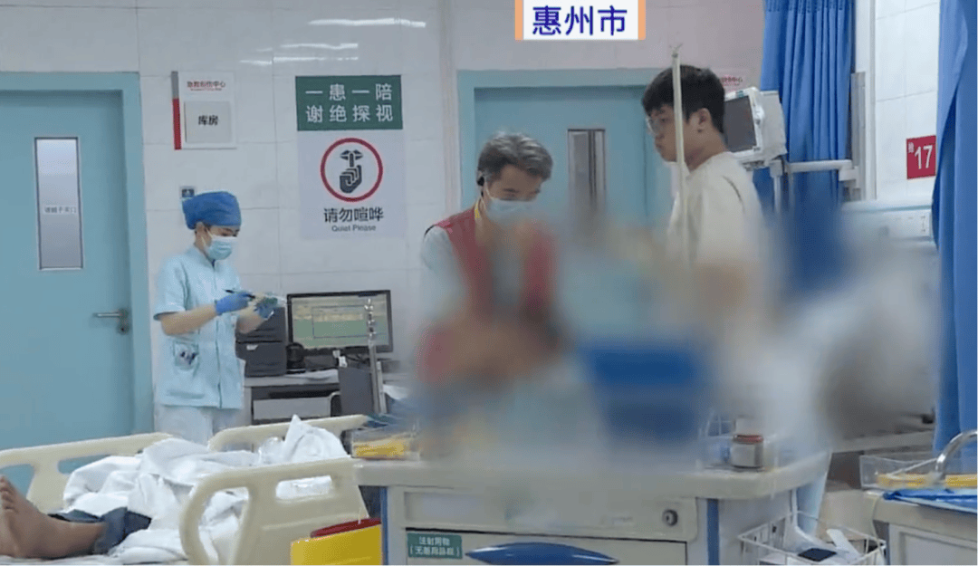 深圳一市民突遭马蜂围袭！已进入高发期，千万别招惹！