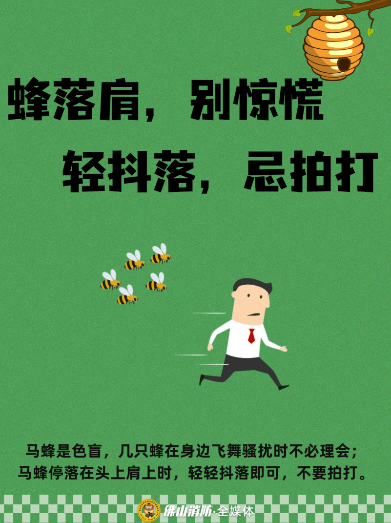 深圳一市民突遭马蜂围袭！已进入高发期，千万别招惹！