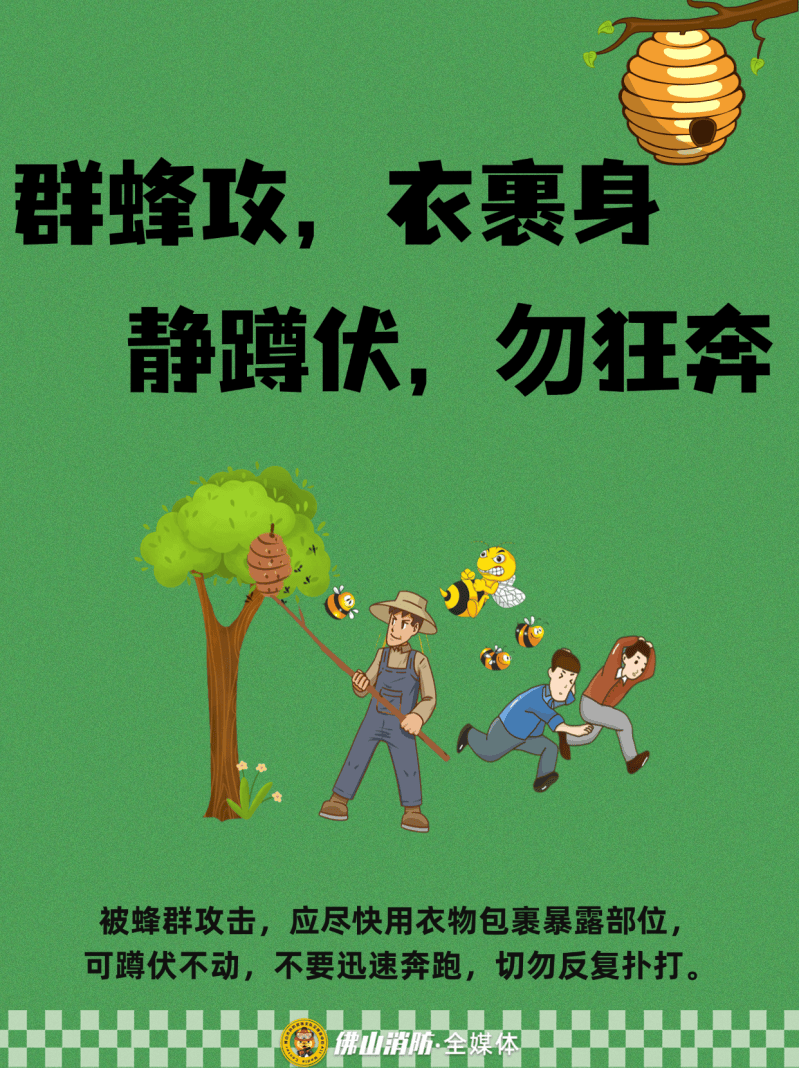 深圳一市民突遭马蜂围袭！已进入高发期，千万别招惹！