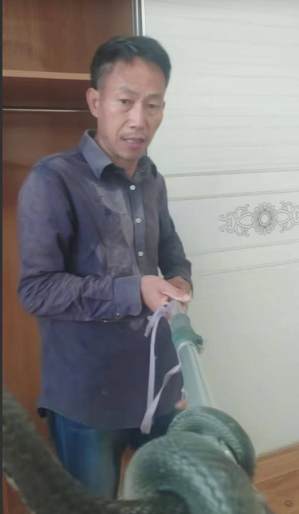 湖南网红直播抓银环蛇被咬伤,疑因嫌注射血清贵独自离开,好友:如果不是炒作就很危险