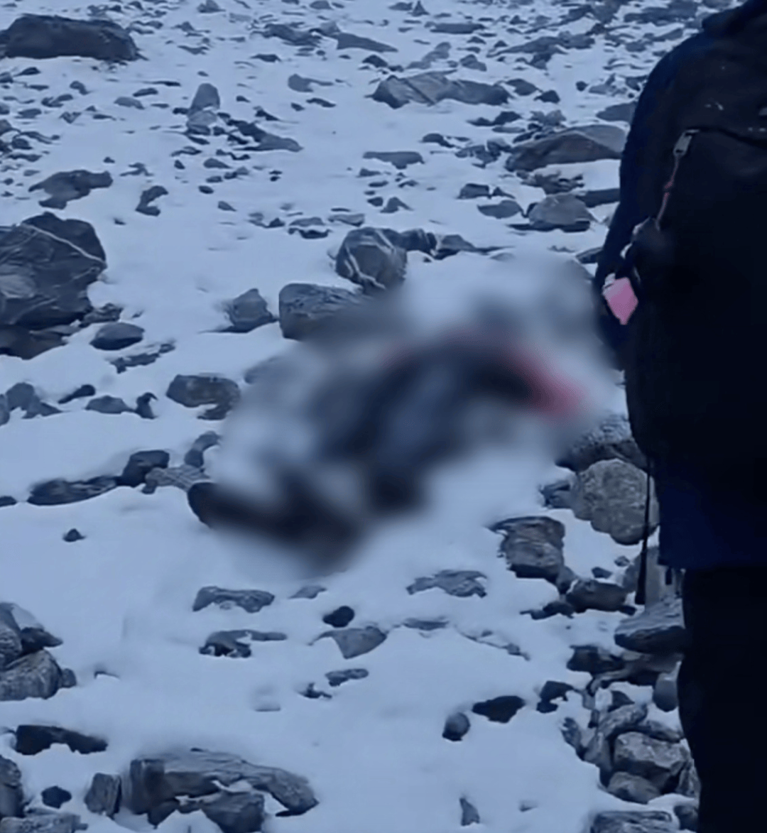 “奇迹没有发生”！确认遇难，才25岁！